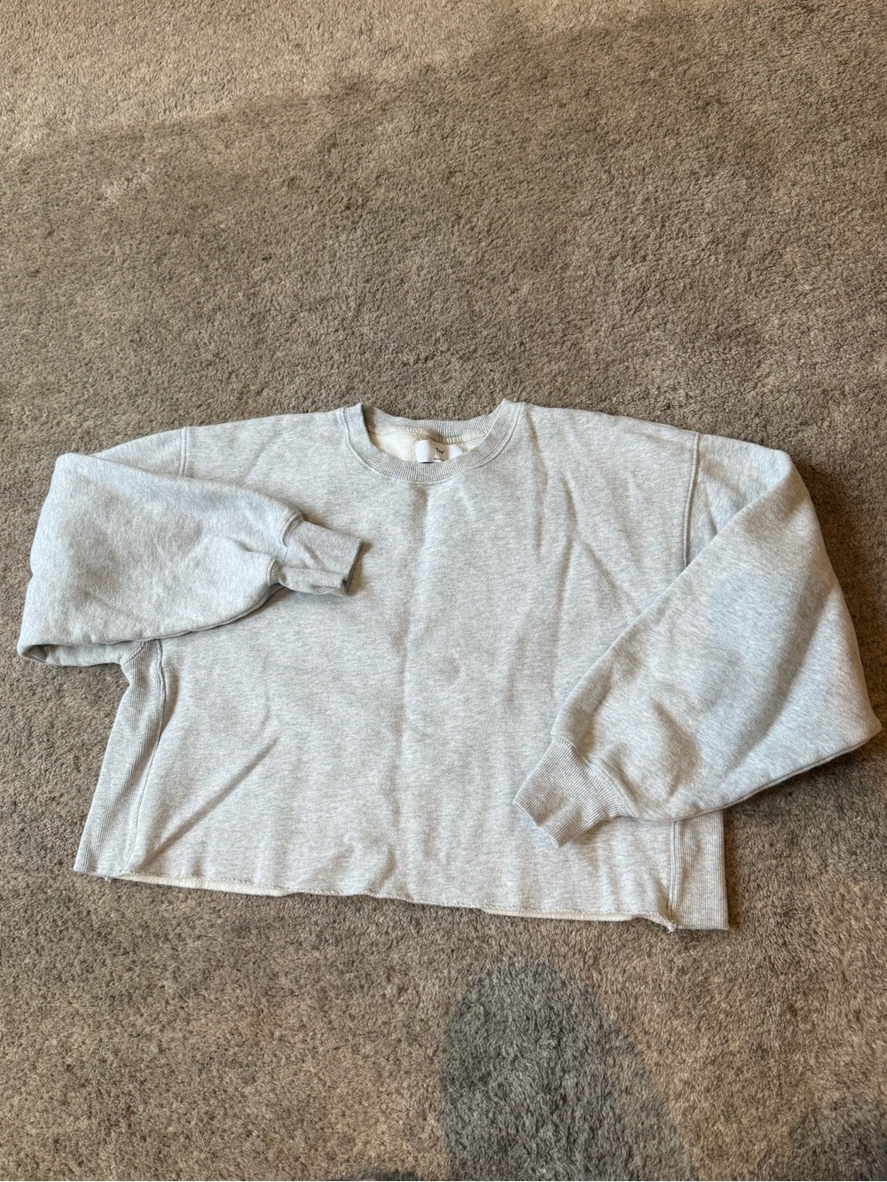 Aritzia Light Gray Crewneck Sweatshirt